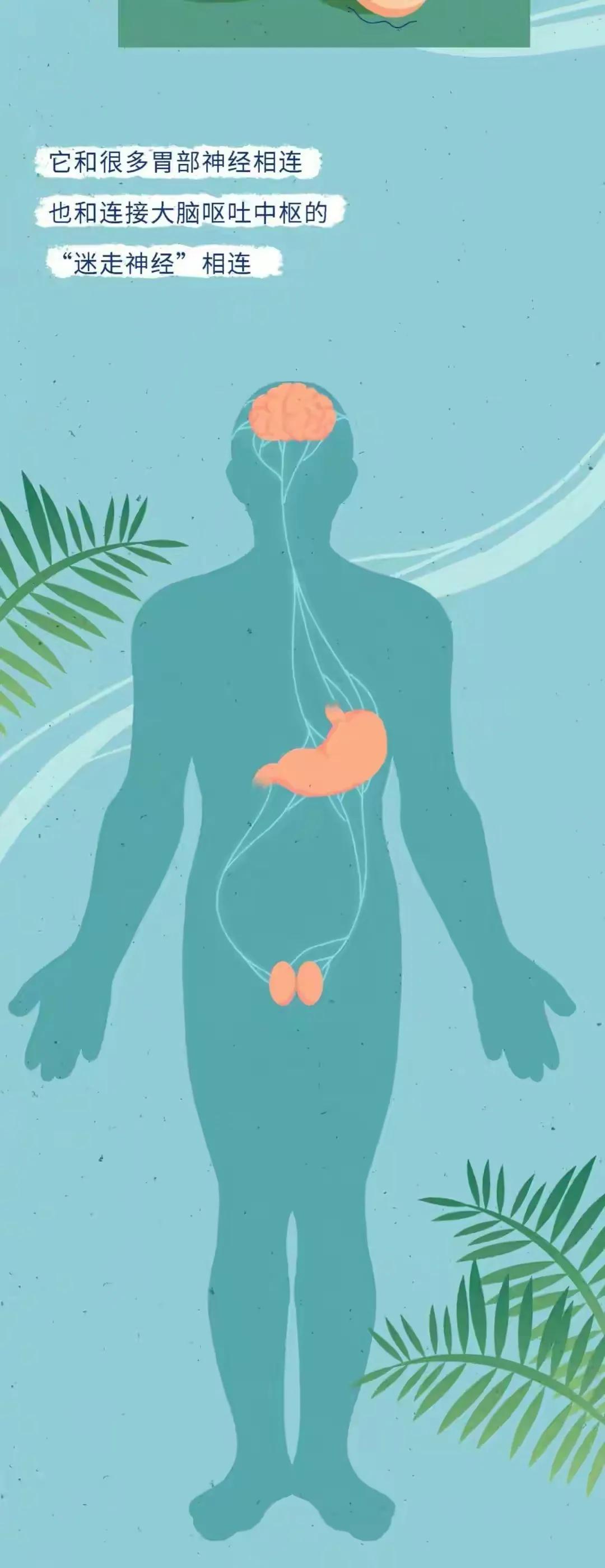 男生接吻时为什么喜欢“乱摸”？