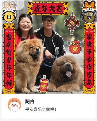 如何用品牌的温度温暖消费者？佩玛思特给出了不一样的答案