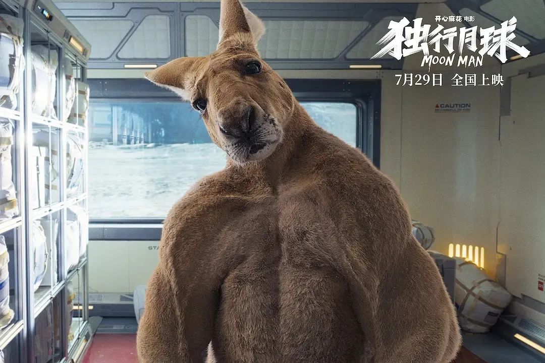 独行月球主要事件一句话概括,独行月球有更好的方案吗