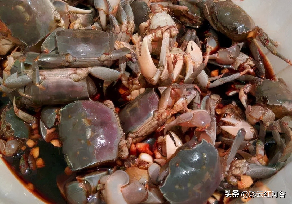 食物链顶端的云南人搞笑,云南人食物链顶端