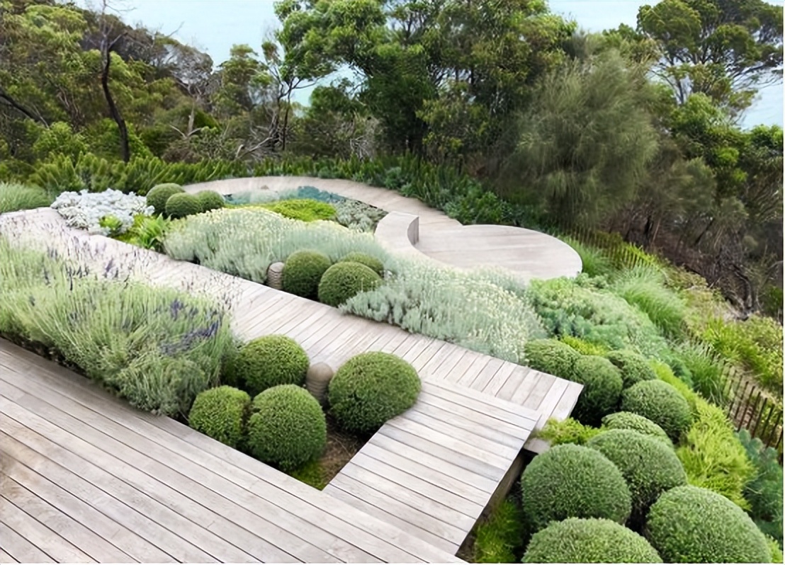 那些被我们忽略的风景,球球景观