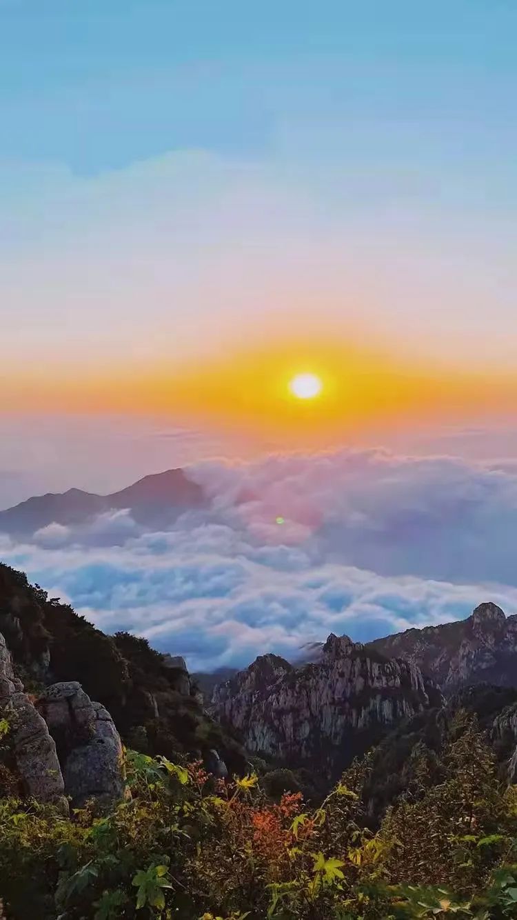 泰山平安年卡怎么比门票便宜,泰山平安年卡可以去哪些景点
