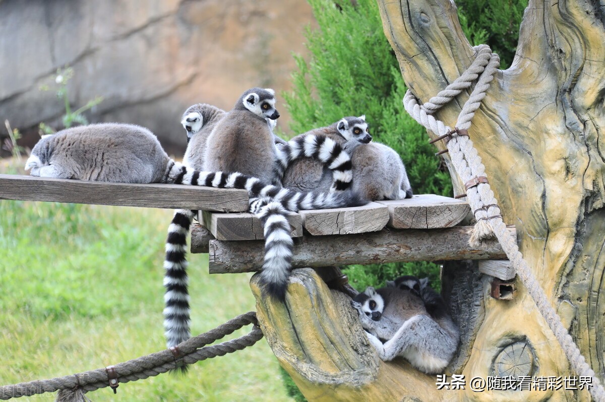 来辽宁必打卡的八处景点——大连篇（含门票交通表演信息）