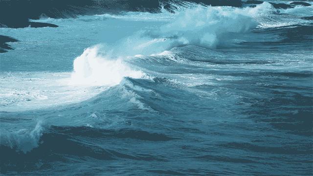 lamer海蓝之谜新生活肤精华油30ml,海蓝之谜焕活精华油适合油痘肌吗