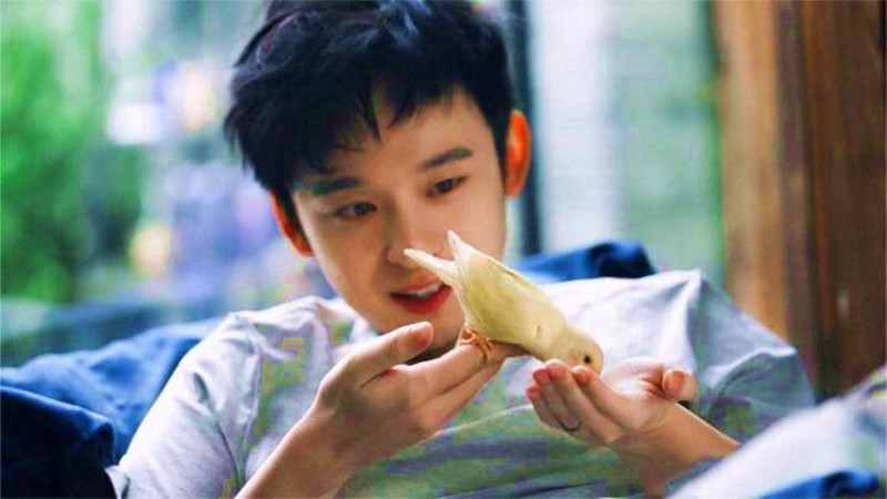 一眼望去全是汉服,一眼看去就是大家闺秀的气质