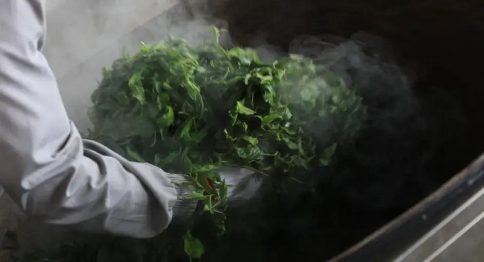 杀青的意思你知道几个？——2020上海师范大学MTI翻译硕士真题