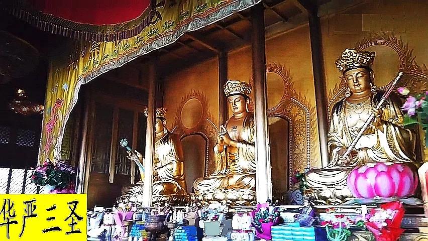 峨眉山最高顶是金顶吗,峨眉山最高的寺