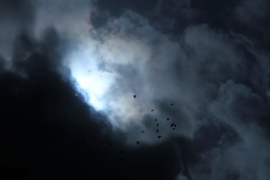 聚宝盆沈万三的发财之道,沈万三赚钱的路子有多野