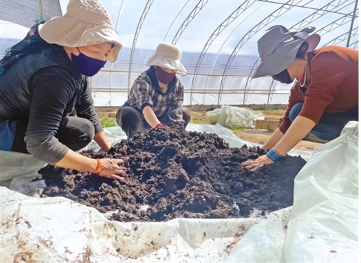 藏粮于技推动高质量科技兴农,藏粮于技强化农业科技支撑