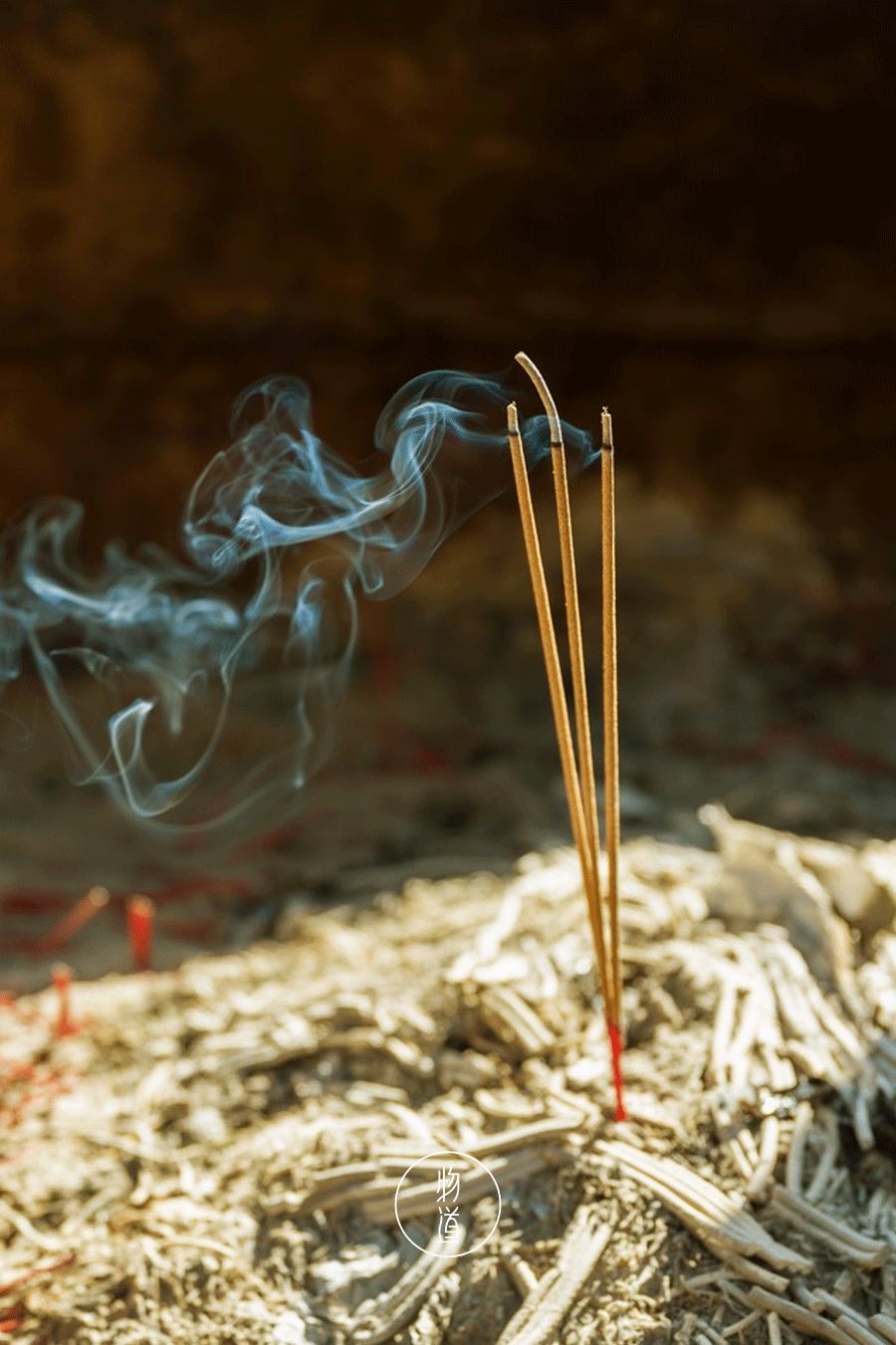 处暑的读音,处暑节气