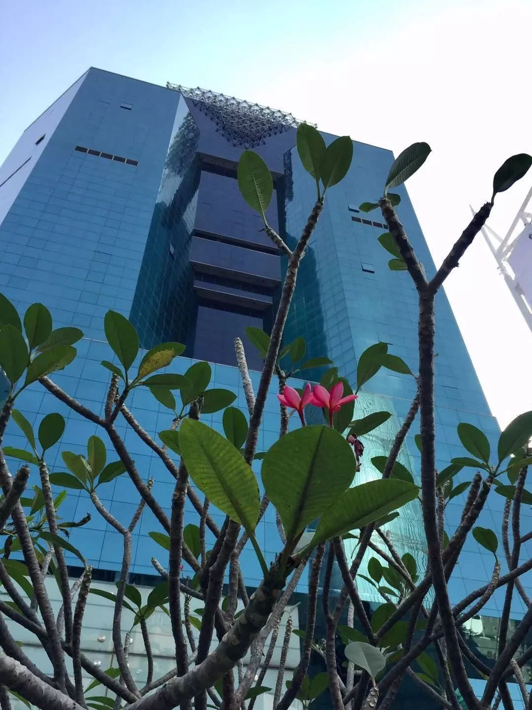 自驾深圳旅游攻略过年,自驾游深圳国庆攻略