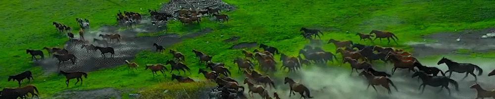 尹锡悦言论对中韩关系走向影响,尹锡悦对华策略转变原因