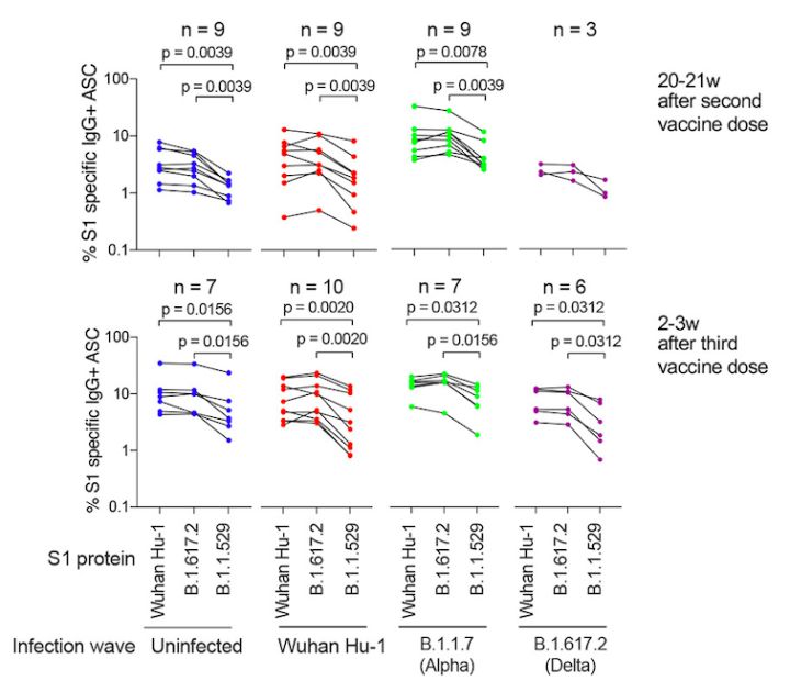 omicron变异毒株感染症状,感染omicron有什么症状