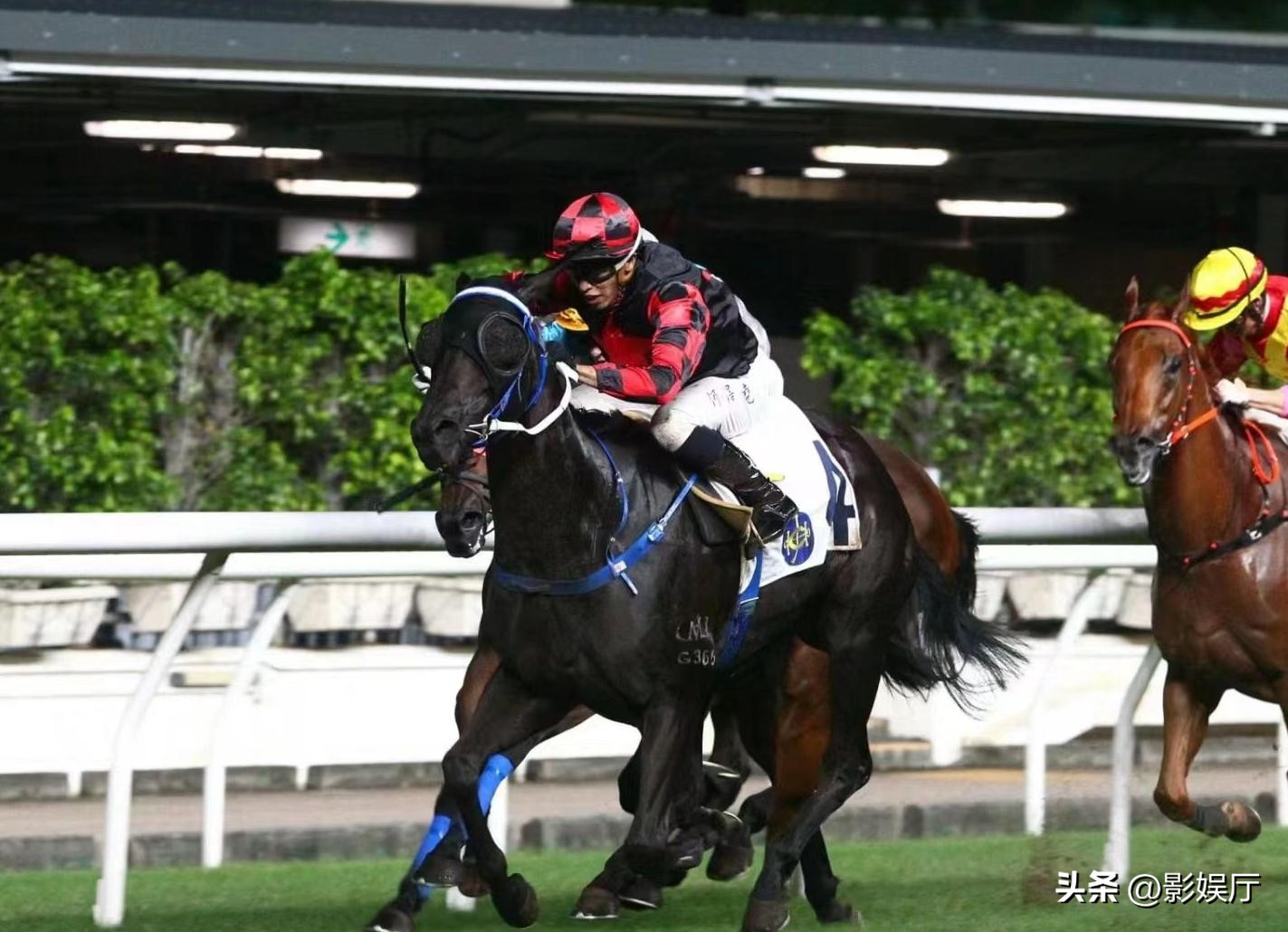 郭富城赛马花多少钱,郭富城赛马赢一亿新闻