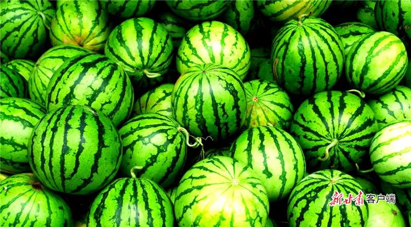 通关文牒嘉峪关是什么意思,嘉峪关哪个省