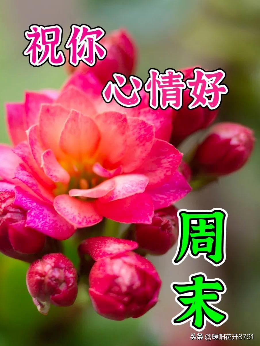 早安周末愉快问候语正能量,周末愉快早安问候语一句话