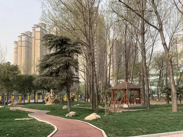 卧龙月季花海承接绿化工程,卧龙区园林绿化中心