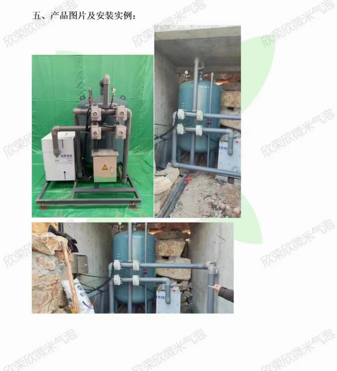 最简单鱼池净化系统,鱼池自净化生态系统