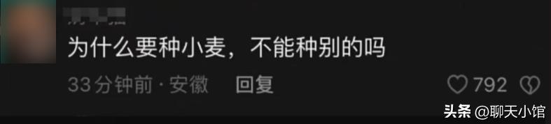 一张“农村小女孩帮忙麦收”照片惹众怒：收起你的傲慢与无知！