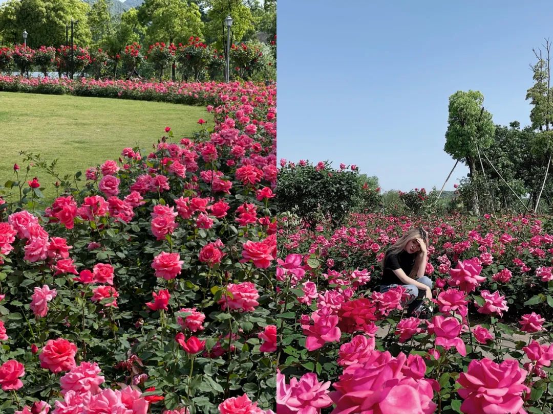 听我的，四月的杭州才是浪漫天花板。