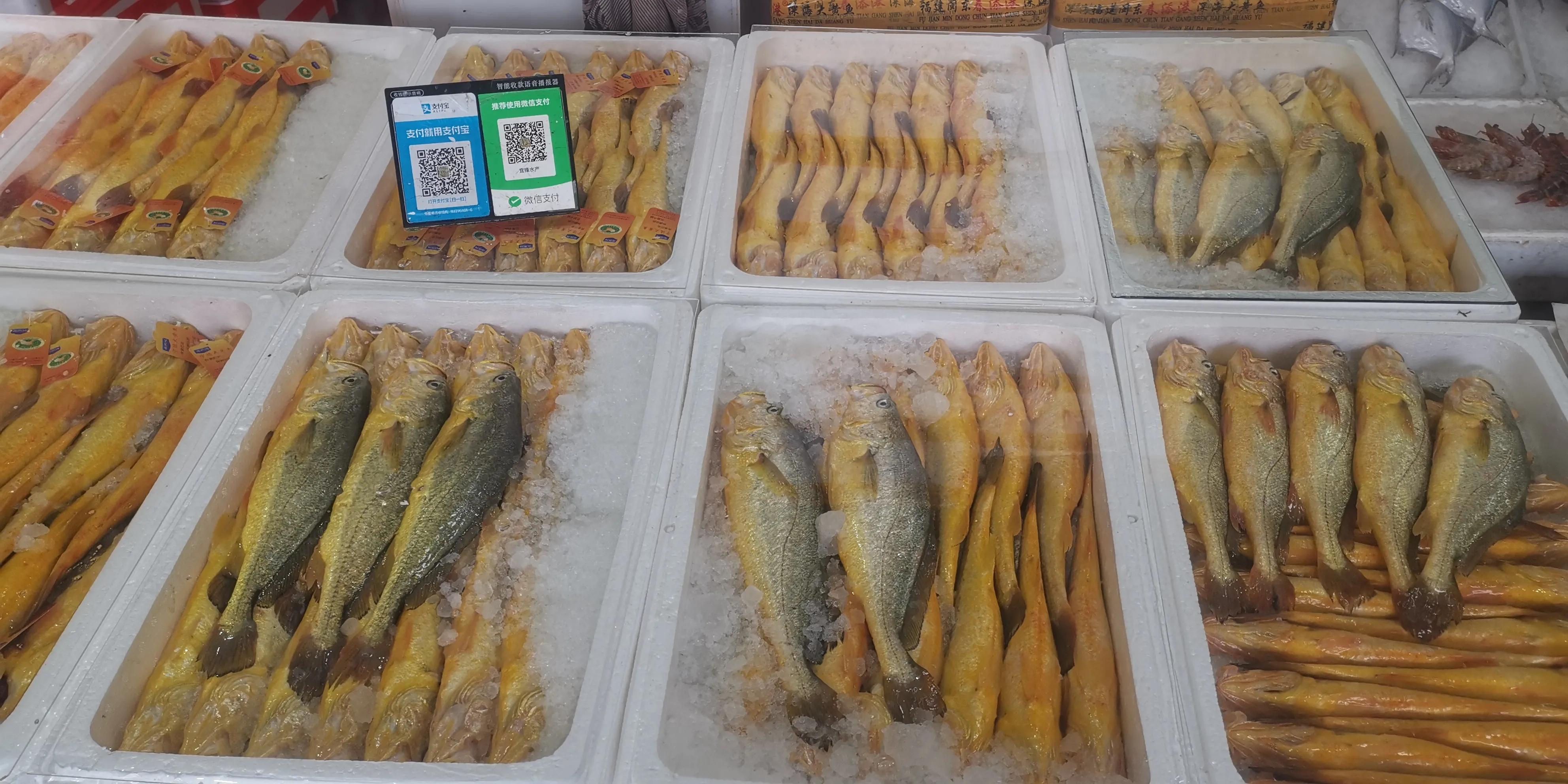 上海军工路东方国际海鲜市场,上海江杨路海鲜批发市场