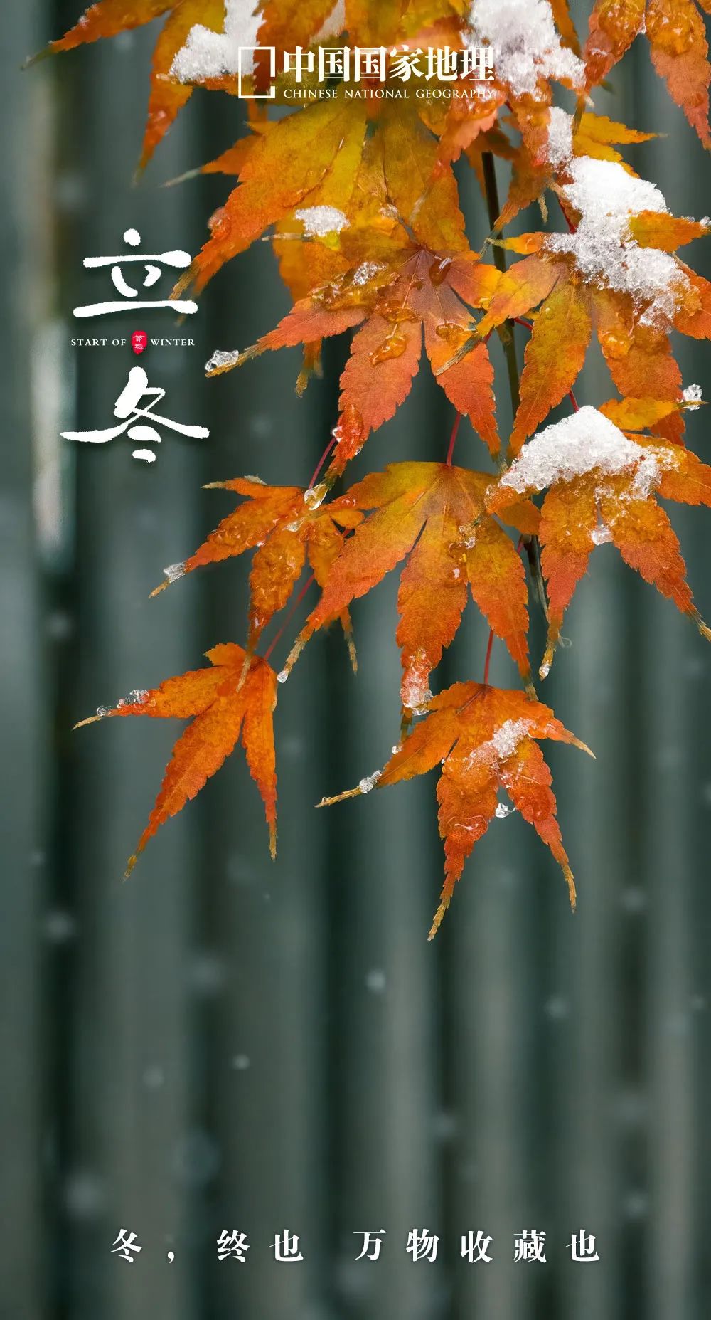 一年中最有智慧的节气图片,365天最美24节气图诞生惊艳国人