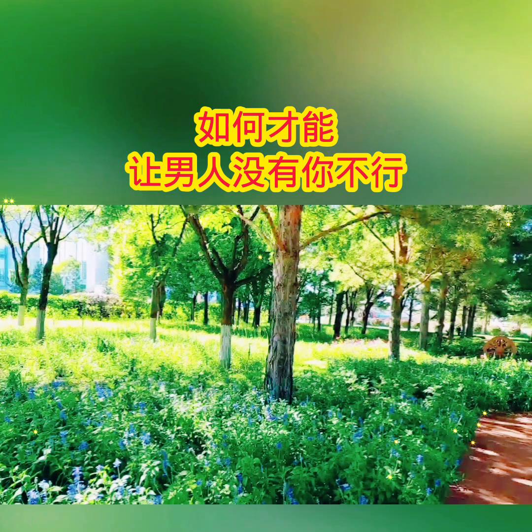 情感调解节目全部,情感电视剧连续剧免费看