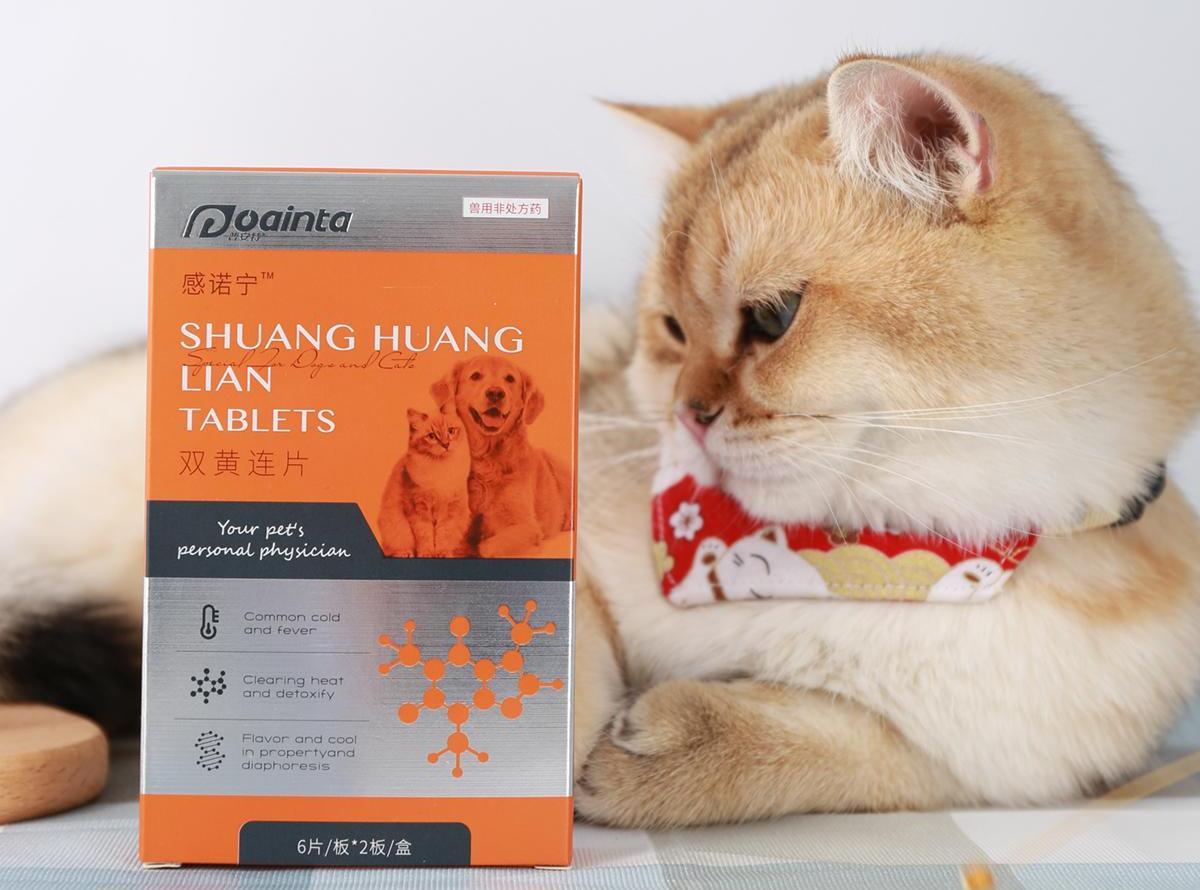 猫咪发烧了怎么降温最有效,猫咪发烧降温的方法