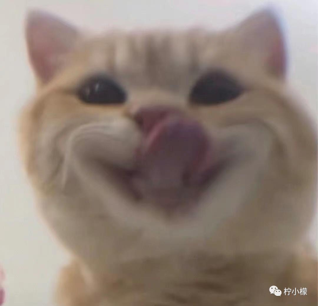 不小心把大尺度小说发给老师后...没逝的这辈子很快就过去了哈哈