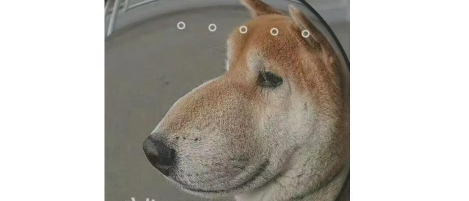 播一半被强制下架的10大烂剧,强制下架的烂剧有哪些