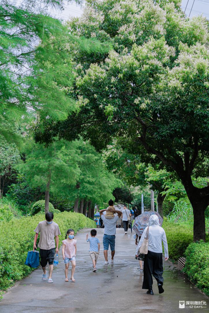 14号地铁有没有到坪山高铁站,坪山14号线转10号地铁图