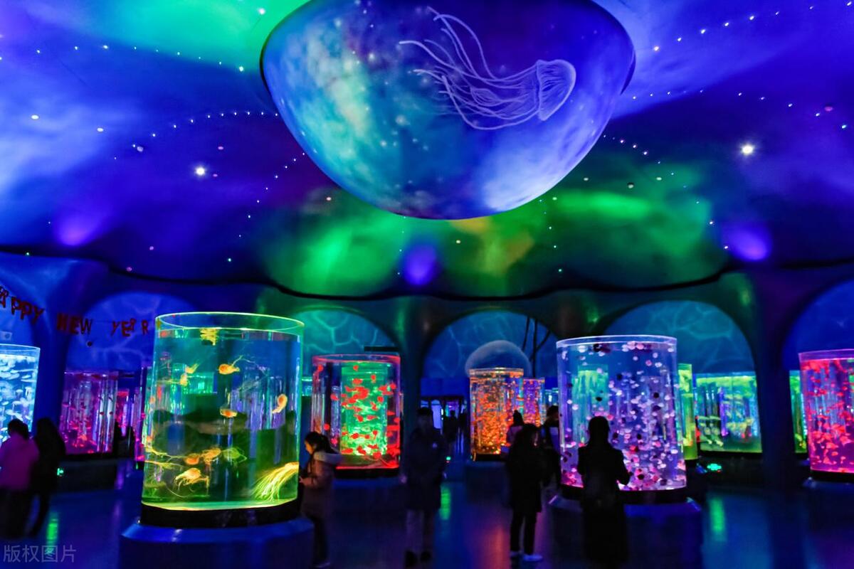 上海旅游十大必去景点,上海欢乐谷必玩十大景点