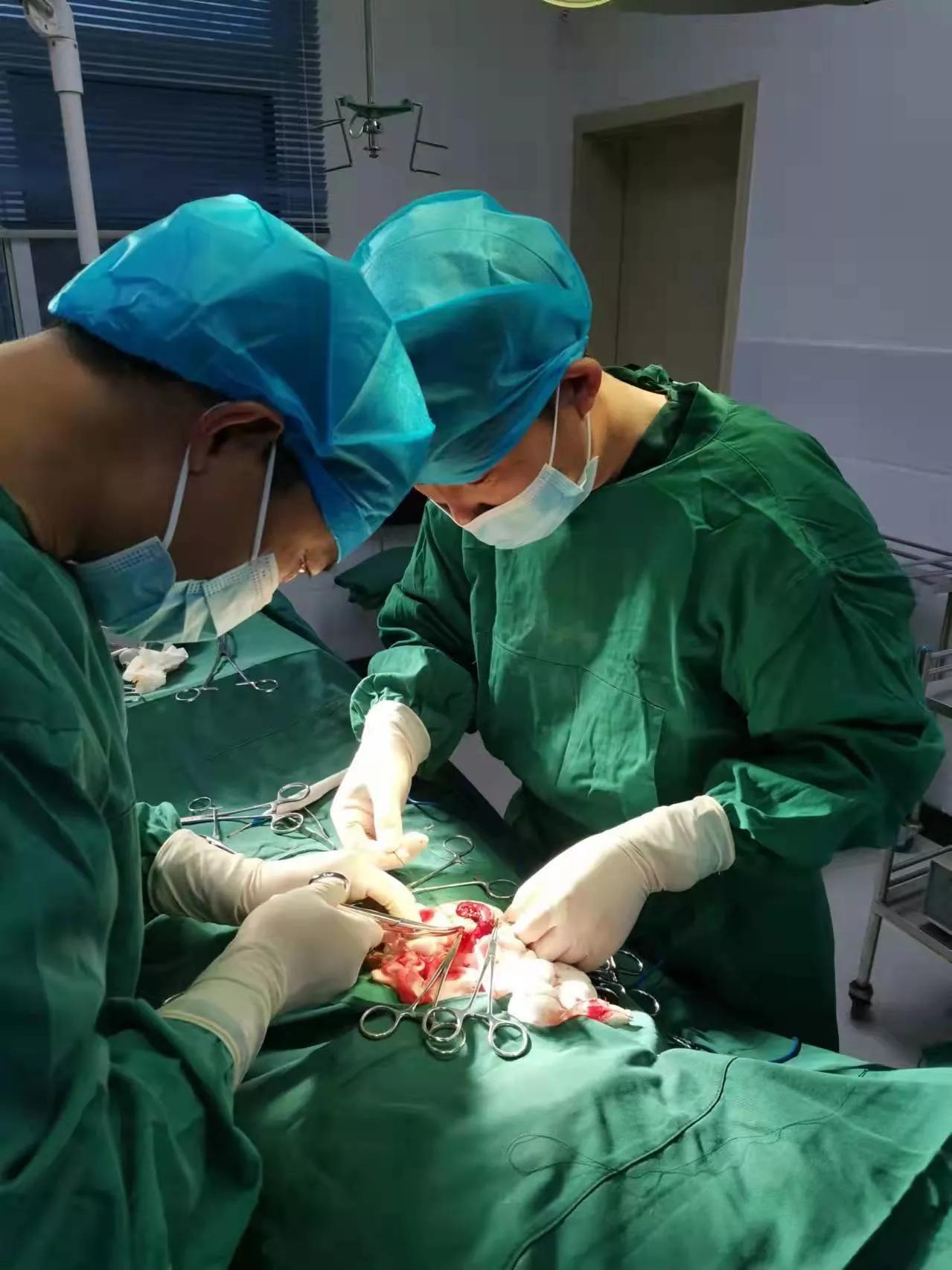 扎根基层十九载热血丹心谱杏林