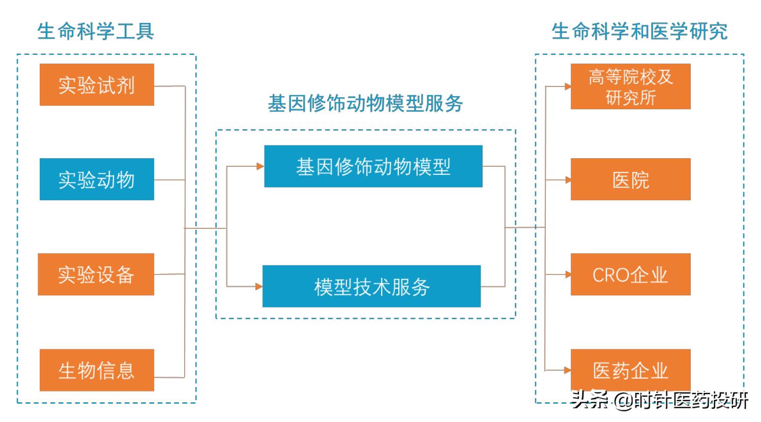 南模生物大概能赚多少,南模生物股票上市价格分析