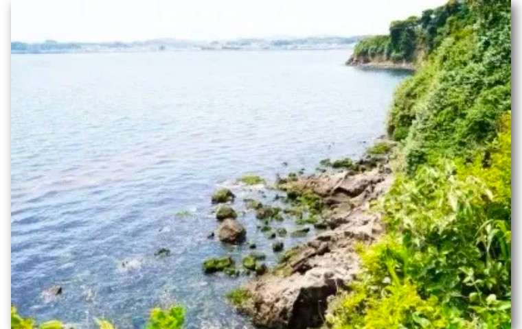 青岛姑娘买下日本小岛在哪个位置,中国女孩买下日本一小岛