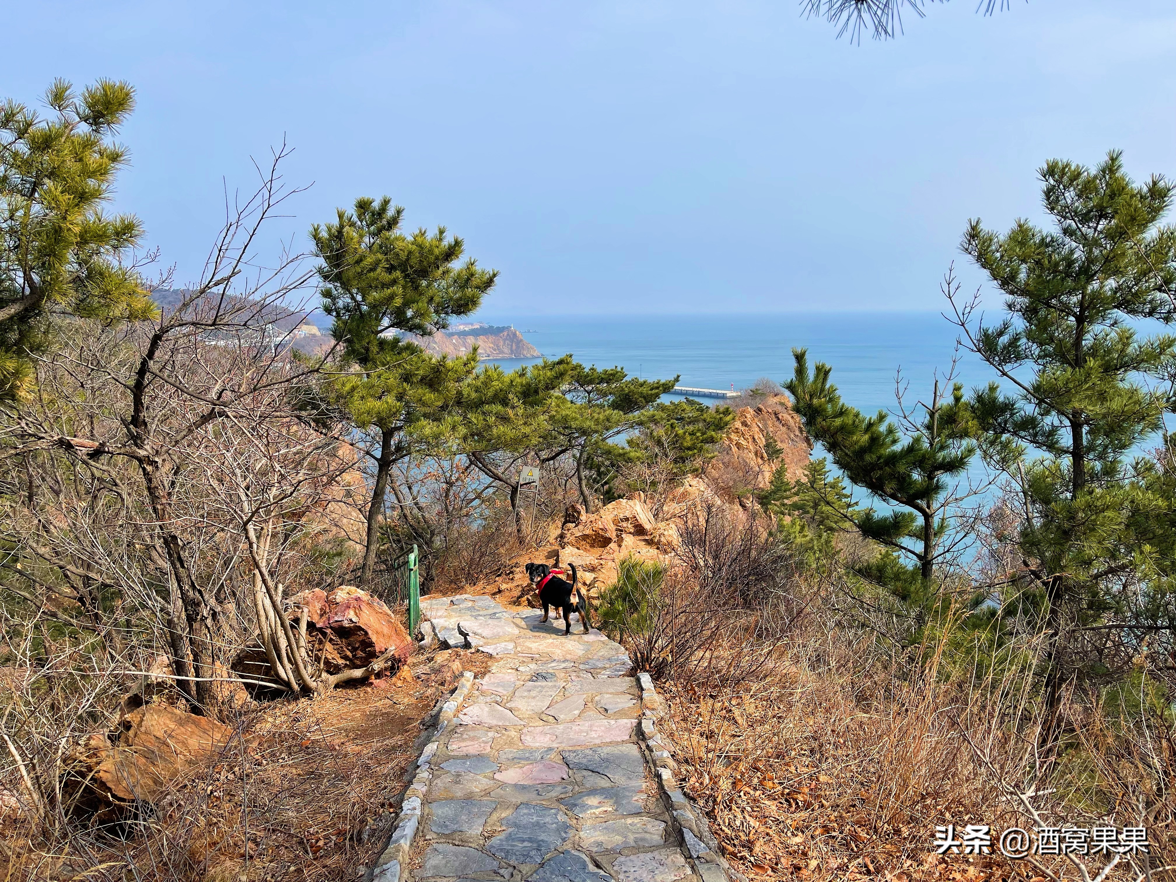 大连燕窝岭赶海时间表,大连免费赶海的燕窝岭
