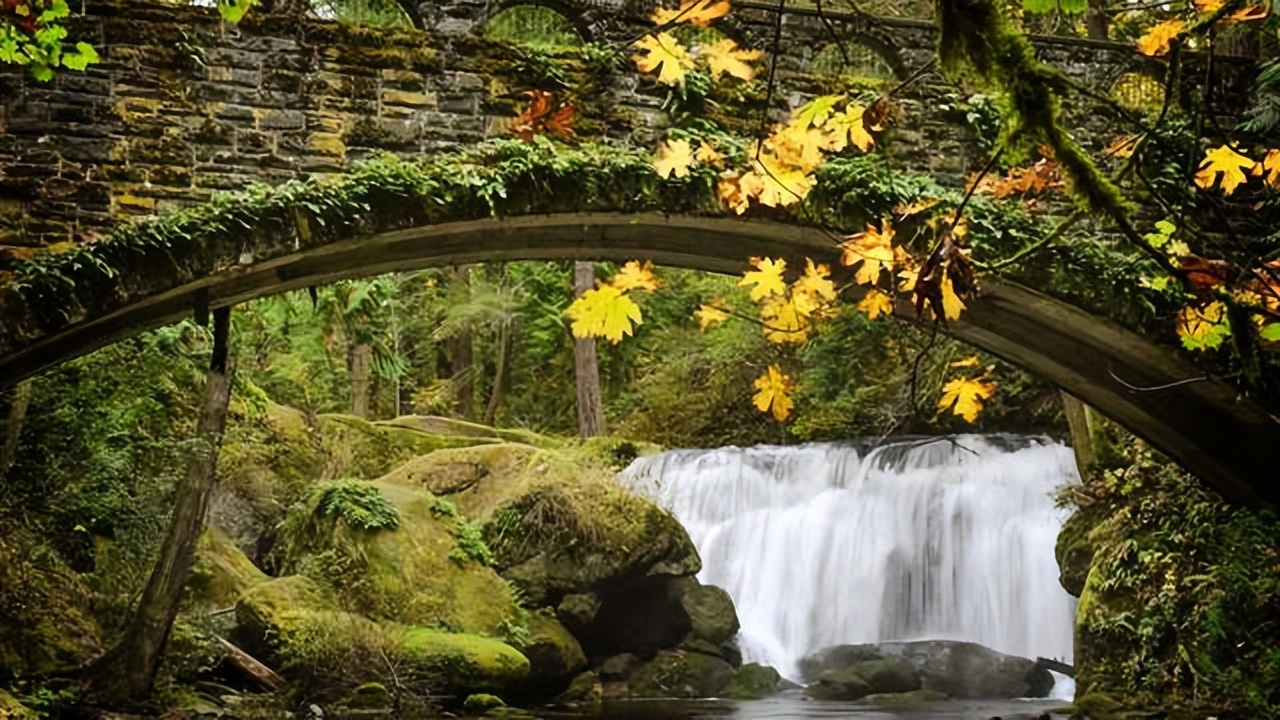 从温哥华开车到西雅图沿途美景,西雅图到温哥华沿途风景