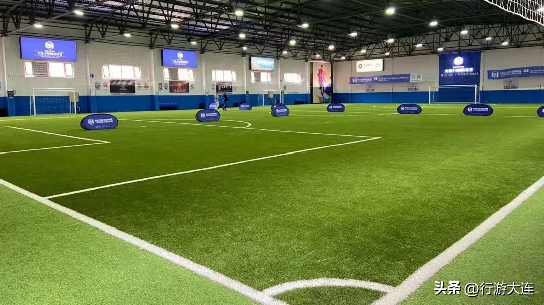 世界杯足球场比赛场地,大连世界杯专业足球场