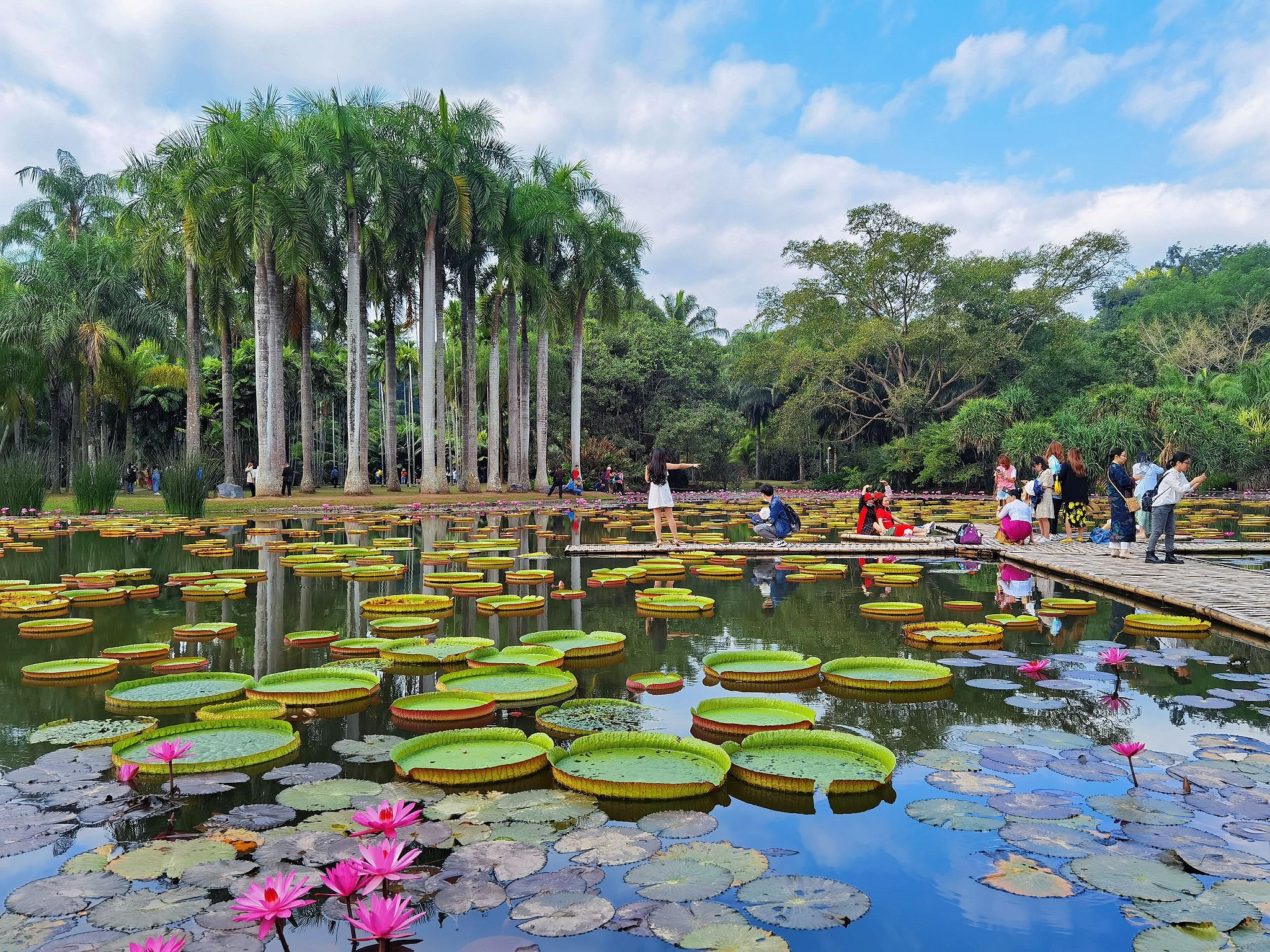 云南最漂亮的景点排名,云南最漂亮的景点推荐
