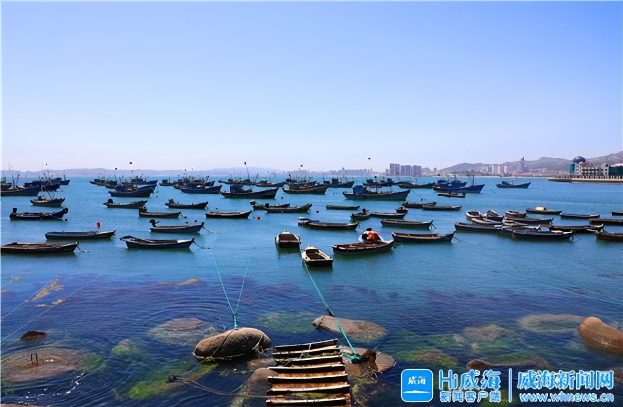 Hi，威海丨特种兵式旅游，这些打卡点推荐给你！