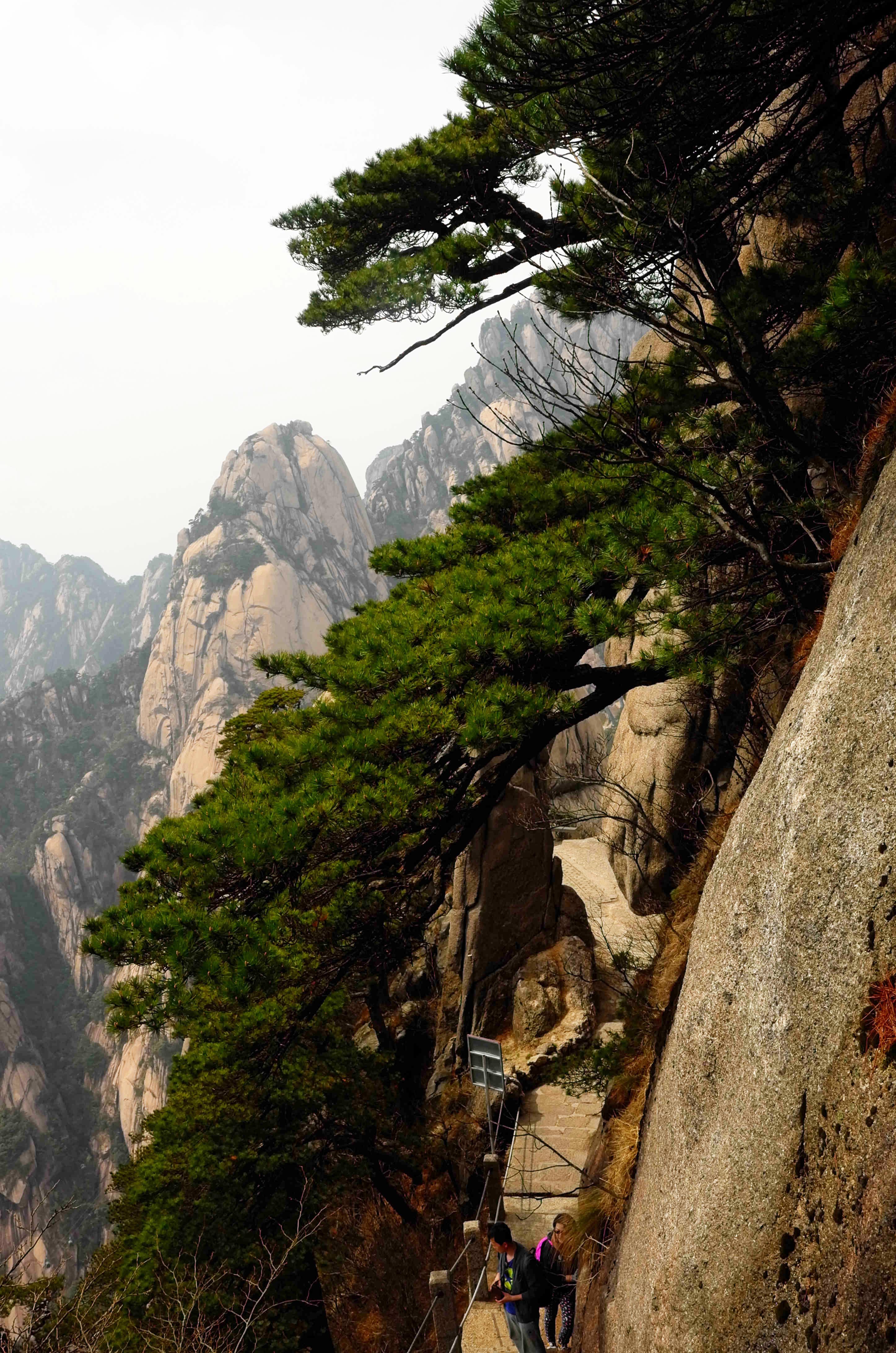 黄山天都峰会走鲫鱼背吗,黄山天都峰鲫鱼背第一视角