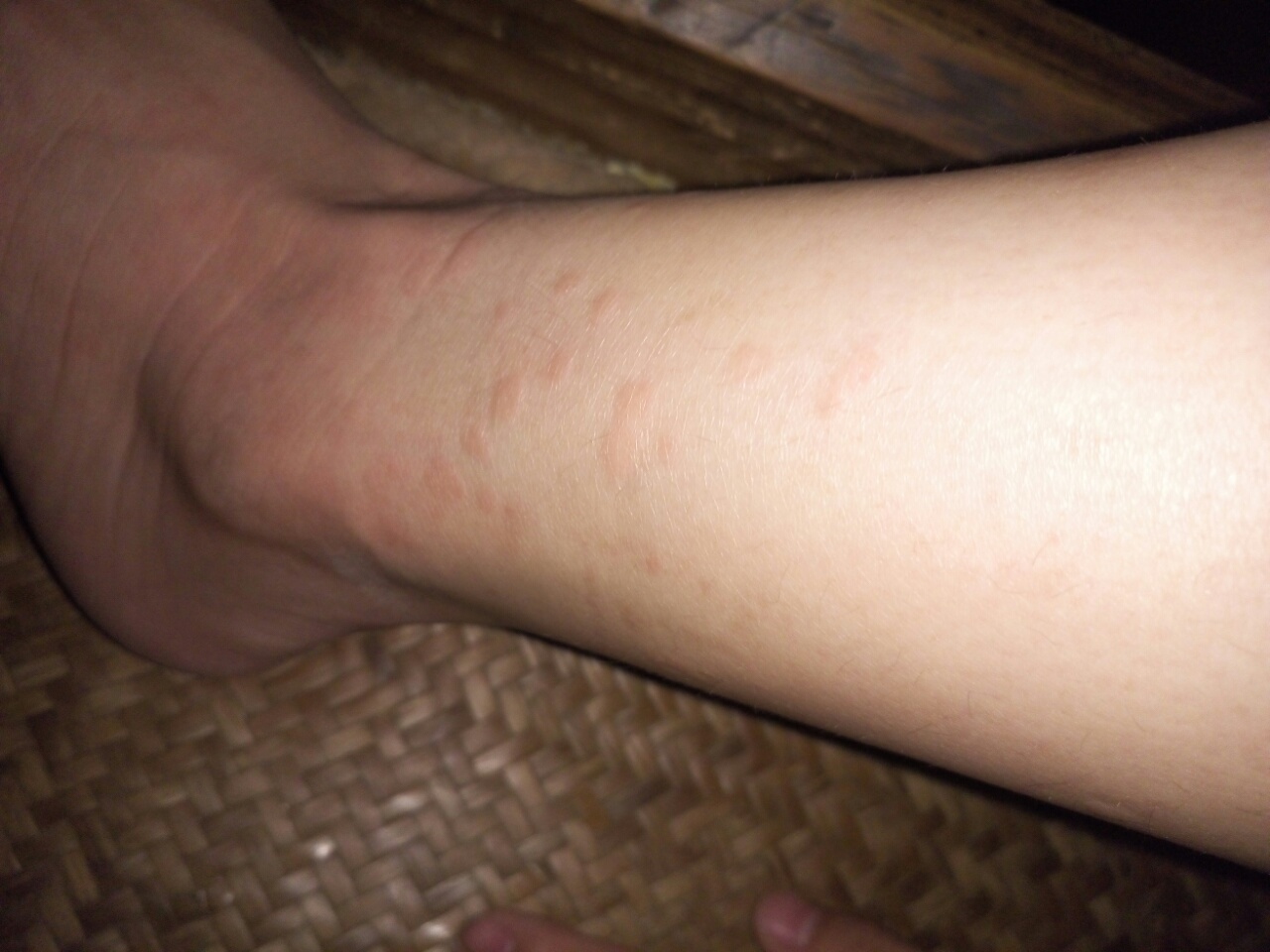 你家中有这几种小粒粒吗？虽然漂亮但危害却不小！发现千万不能留