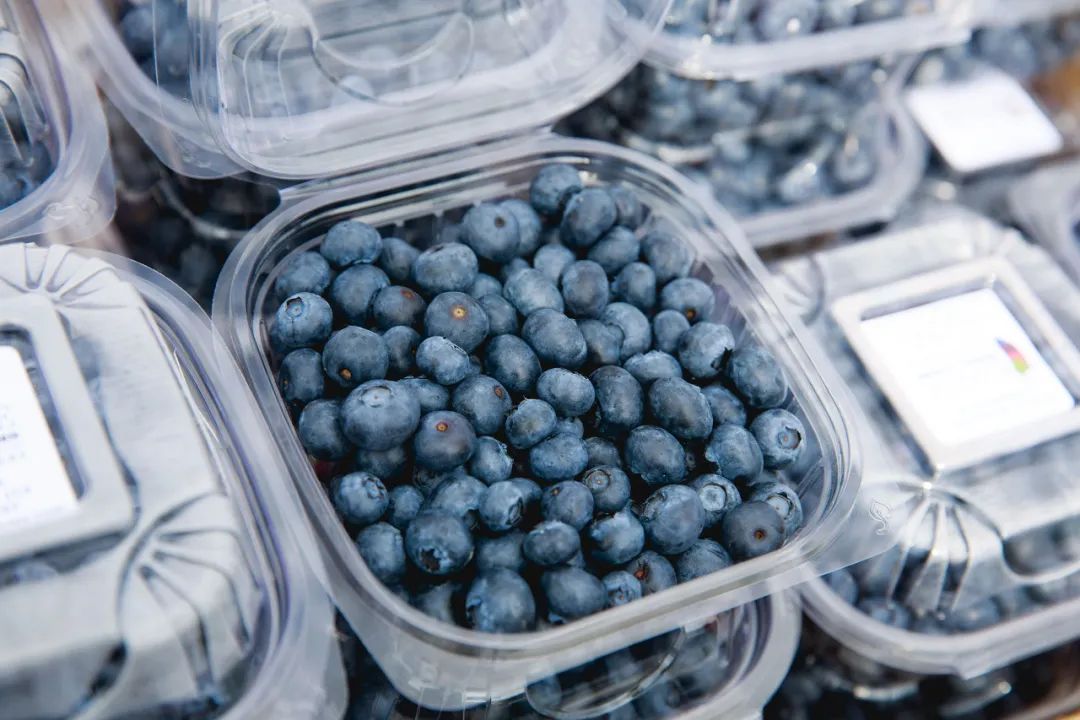 蓝莓未来行情,蓝莓很高产为什么还很贵