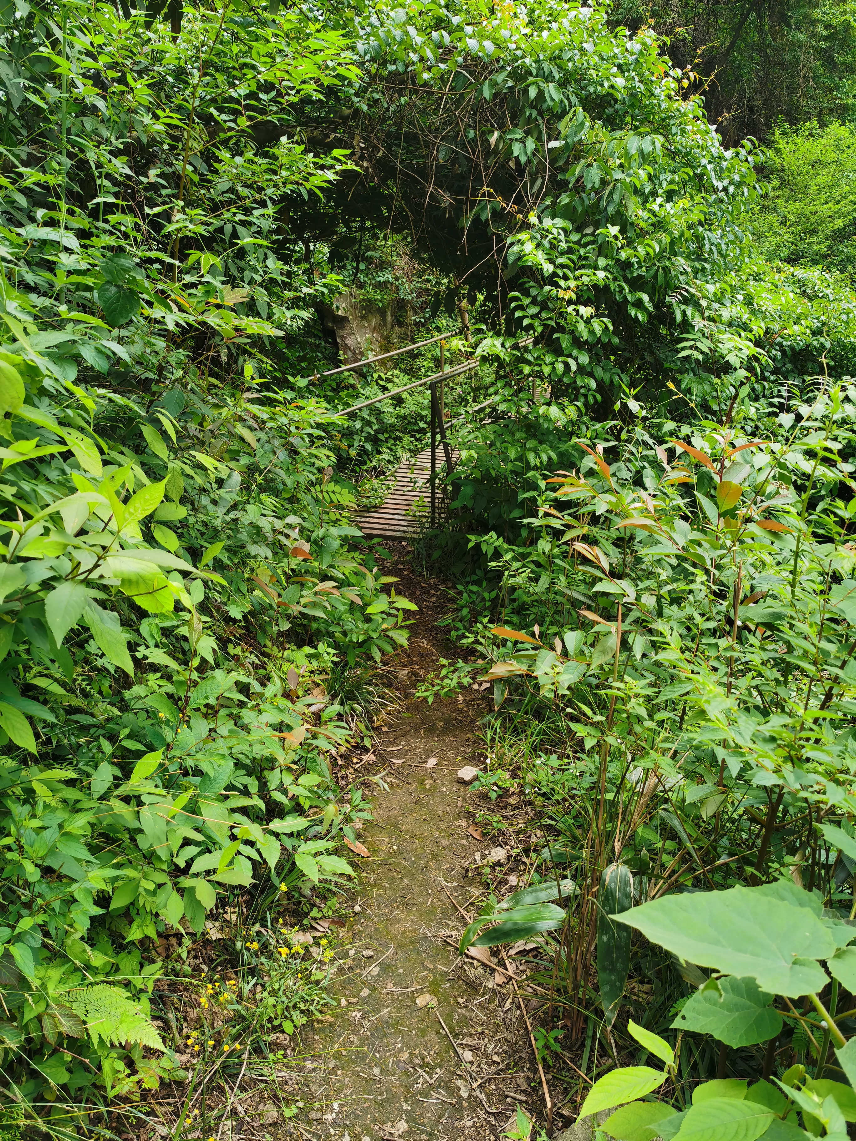 夏季嬉水好去处，初探临安蝴蝶谷