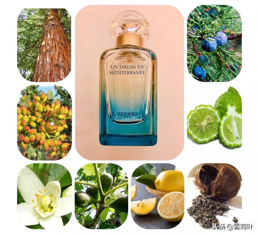 爱马仕地中海花园香水寓意,爱马仕香水春夏推荐