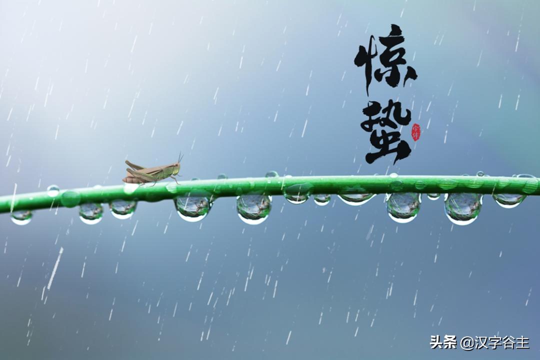 惊蛰惊动了哪些虫子,惊蛰惊虫