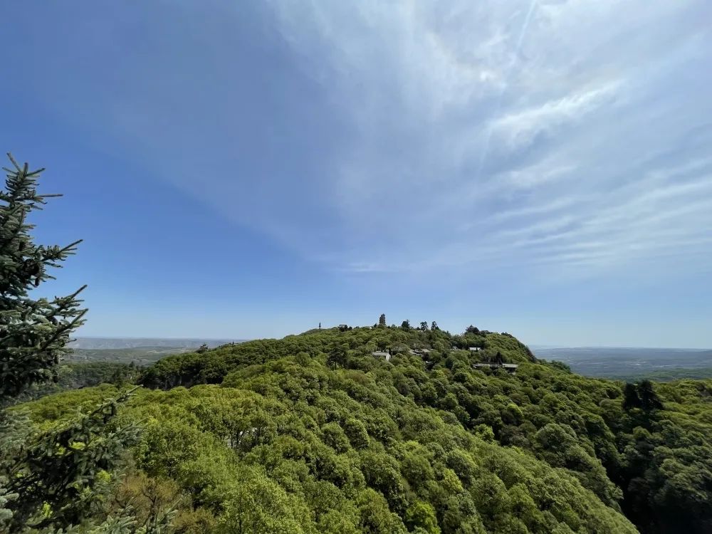 崆峒文化·诗词鉴赏丨“踏破铁鞋无觅处，得来全不费工夫”的由来