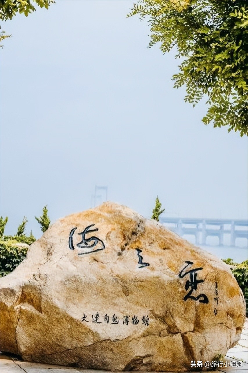 夏日海边浪漫迷人,滨城风光秀丽浪漫气息爆表