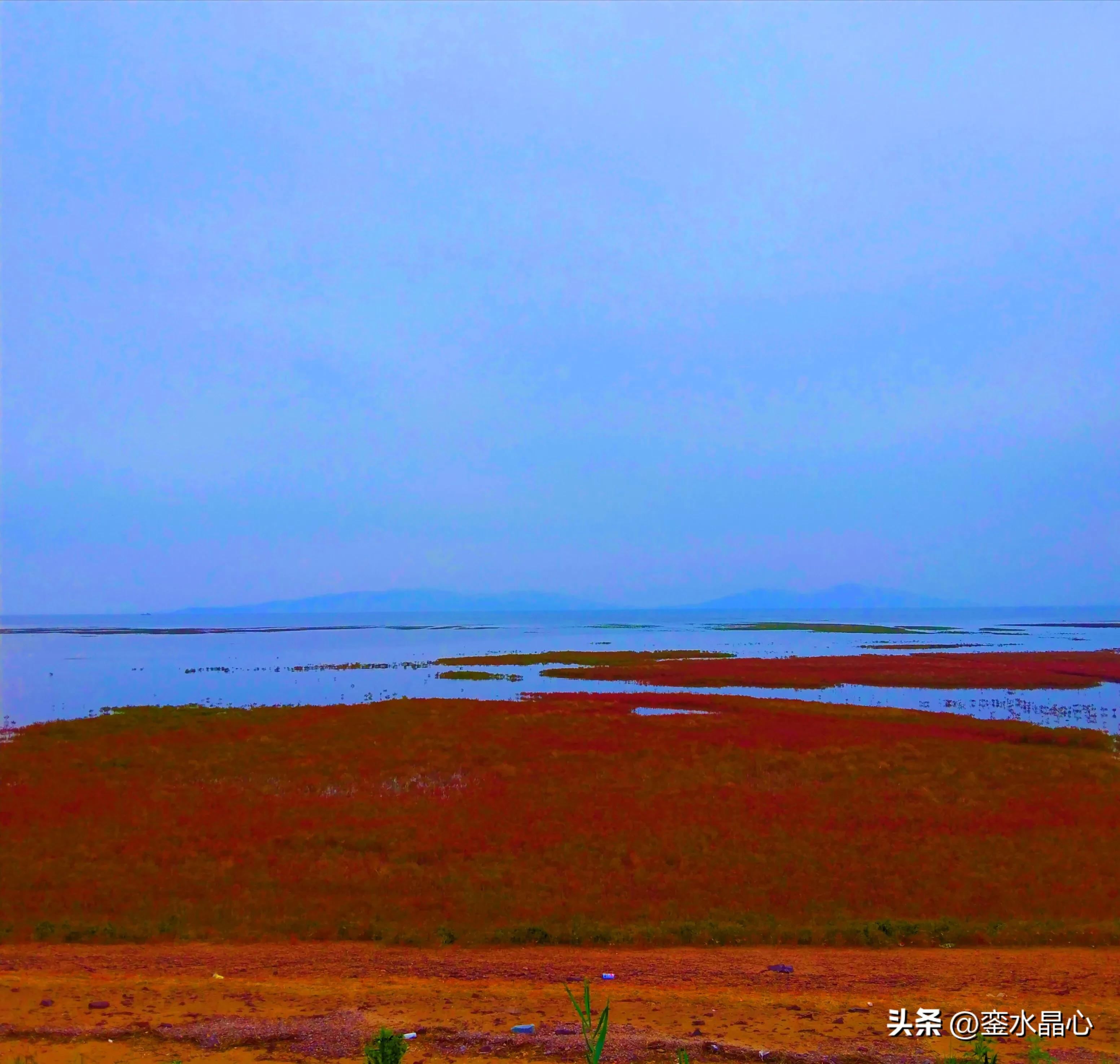 兴城红海滩值得去吗,兴城红海滩十月一日去红吗