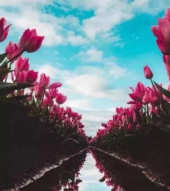 勤小物无大患的下一句,君子能勤小物故无大患出处